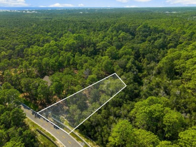 This .55-acre vacant lot is located in the gated Wild Heron on Sharks Tooth Golf Club in Florida - for sale on GolfHomes.com, golf home, golf lot