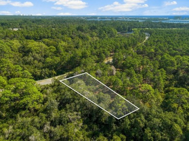 This .55-acre vacant lot is located in the gated Wild Heron on Sharks Tooth Golf Club in Florida - for sale on GolfHomes.com, golf home, golf lot