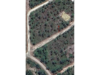 Easy access to US 41 and I-75. Quiet country-like setting but on Seminole Lakes Country Club in Florida - for sale on GolfHomes.com, golf home, golf lot