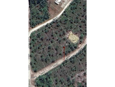 Easy access to US 41 and I-75. Quiet country-like setting but on Seminole Lakes Country Club in Florida - for sale on GolfHomes.com, golf home, golf lot