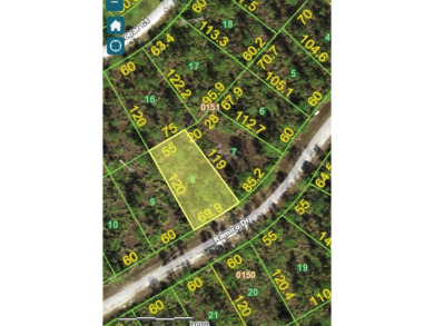 Easy access to US 41 and I-75. Quiet country-like setting but on Seminole Lakes Country Club in Florida - for sale on GolfHomes.com, golf home, golf lot