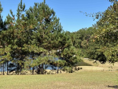 Waterfront Lot Located in a Golf Course Community!! Build your on Oakview Golf and Country Club in Georgia - for sale on GolfHomes.com, golf home, golf lot