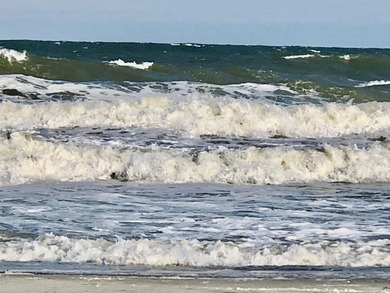 Fully Furnished 2 bedroom, 2 bath condo with a golf course view! on  in South Carolina - for sale on GolfHomes.com, golf home, golf lot