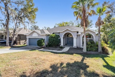 Welcome to Casual Elegance in the highly desirable, GATED on Lake Jovita Golf and Country Club in Florida - for sale on GolfHomes.com, golf home, golf lot