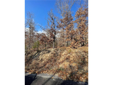 Minutes to Hwy 71 & Pea Ridge, this .31-acre property is located on  in Arkansas - for sale on GolfHomes.com, golf home, golf lot