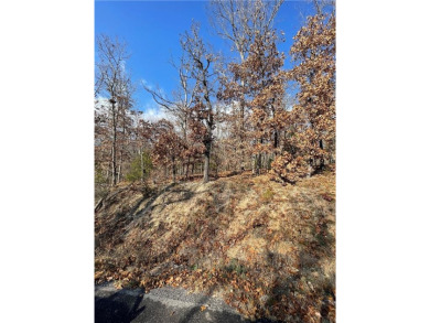 Minutes to Hwy 71 & Pea Ridge, this .31-acre property is located on  in Arkansas - for sale on GolfHomes.com, golf home, golf lot