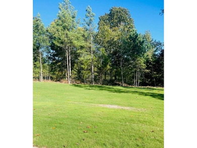 Great Location, Beautiful New Construction Home on a large level on Branchwood Golf Course in Arkansas - for sale on GolfHomes.com, golf home, golf lot
