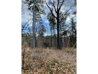 Build your dream home on this beautiful .35 acre gentle slope on Bella Vista Country Club and Golf Course in Arkansas - for sale on GolfHomes.com, golf home, golf lot