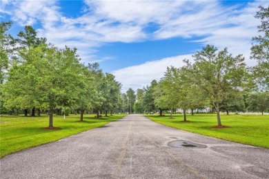Gorgeous .723-acre lot w/161 ft of pristine marsh front offers on Sapelo Hammock Golf Club in Georgia - for sale on GolfHomes.com, golf home, golf lot