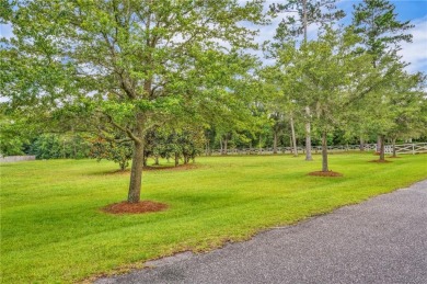 Gorgeous .723-acre lot w/161 ft of pristine marsh front offers on Sapelo Hammock Golf Club in Georgia - for sale on GolfHomes.com, golf home, golf lot
