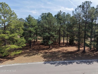 A must-see, beautiful 0.30-acre wooded homesite located in the on River Landing Golf Course in North Carolina - for sale on GolfHomes.com, golf home, golf lot