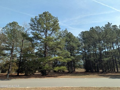 A must-see, beautiful 0.30-acre wooded homesite located in the on River Landing Golf Course in North Carolina - for sale on GolfHomes.com, golf home, golf lot