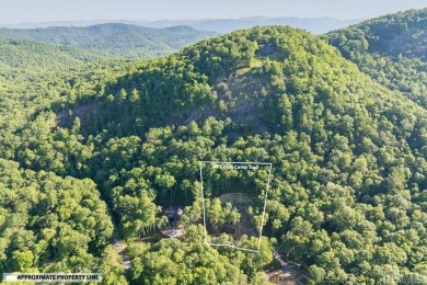 Your mountain dreams are already coming true! Located in the on Natures Walk At Chinquapin in North Carolina - for sale on GolfHomes.com, golf home, golf lot