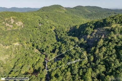 Your mountain dreams are already coming true! Located in the on Natures Walk At Chinquapin in North Carolina - for sale on GolfHomes.com, golf home, golf lot