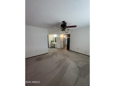 MOTIVATED SELLER, willing to CREDIT $5k at closing!!! This very on Sun City Lakes West and East in Arizona - for sale on GolfHomes.com, golf home, golf lot