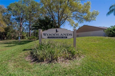 Newly remolded Patio Home with 2 bedroom 2 full bathroom with on East Lake Woodlands Country Club in Florida - for sale on GolfHomes.com, golf home, golf lot