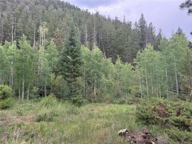 Discover the beauty and seclusion of Lot 59, a rare opportunity on The River Course At Keystone in Colorado - for sale on GolfHomes.com, golf home, golf lot
