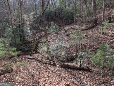 Prime location and exceptional value define this outstanding on Innsbruck Resort and Golf Club in Georgia - for sale on GolfHomes.com, golf home, golf lot