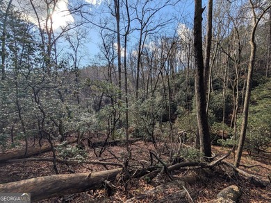 Prime location and exceptional value define this outstanding on Innsbruck Resort and Golf Club in Georgia - for sale on GolfHomes.com, golf home, golf lot