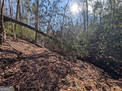 Prime location and exceptional value define this outstanding on Innsbruck Resort and Golf Club in Georgia - for sale on GolfHomes.com, golf home, golf lot