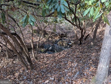 Prime location and exceptional value define this outstanding on Innsbruck Resort and Golf Club in Georgia - for sale on GolfHomes.com, golf home, golf lot