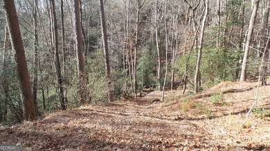 Prime location and exceptional value define this outstanding on Innsbruck Resort and Golf Club in Georgia - for sale on GolfHomes.com, golf home, golf lot