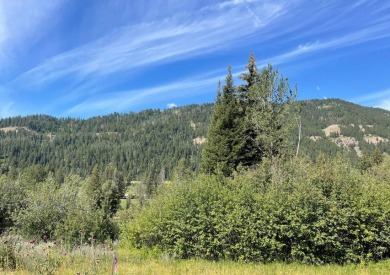 Snake River Sporting Club is a private luxurious club. This Lot on Snake River Sporting Club in Wyoming - for sale on GolfHomes.com, golf home, golf lot