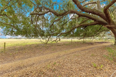 Upgraded 3BR/3BA Pool Home with Golf Cart Garage & Stunning on Stonecrest Golf and Club Club in Florida - for sale on GolfHomes.com, golf home, golf lot