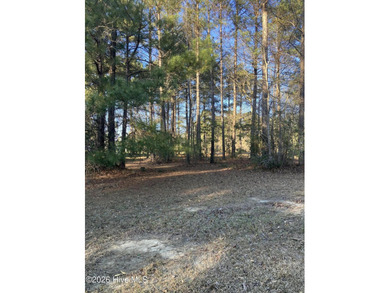 Discover this stunning 0.52-acre pond-front homesite nestled on River Landing Golf Course in North Carolina - for sale on GolfHomes.com, golf home, golf lot