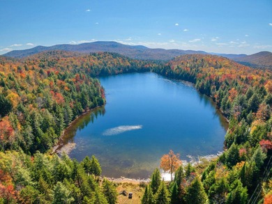 Hamilton Lake encompasses 3,375+/- acres of wilderness with two on Hamilton Lake Conference Center in New York - for sale on GolfHomes.com, golf home, golf lot