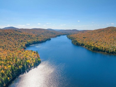Hamilton Lake encompasses 3,375+/- acres of wilderness with two on Hamilton Lake Conference Center in New York - for sale on GolfHomes.com, golf home, golf lot