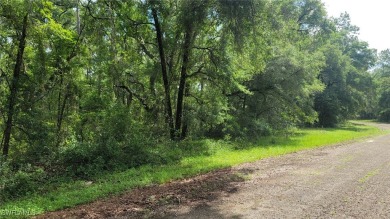 GREAT OPPORTUNITY TO BUILD YOUR DREAM HOME IN CITRUS on Citrus Springs Country Club in Florida - for sale on GolfHomes.com, golf home, golf lot