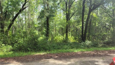 GREAT OPPORTUNITY TO BUILD YOUR DREAM HOME IN CITRUS on Citrus Springs Country Club in Florida - for sale on GolfHomes.com, golf home, golf lot