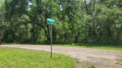 GREAT OPPORTUNITY TO BUILD YOUR DREAM HOME IN CITRUS on Citrus Springs Country Club in Florida - for sale on GolfHomes.com, golf home, golf lot