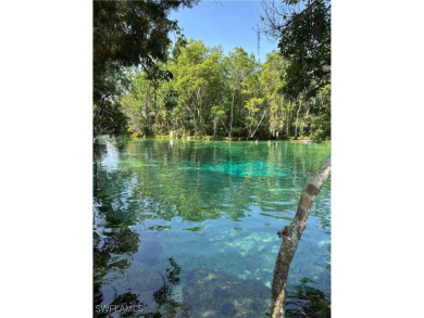 GREAT OPPORTUNITY TO BUILD YOUR DREAM HOME IN CITRUS on Citrus Springs Country Club in Florida - for sale on GolfHomes.com, golf home, golf lot
