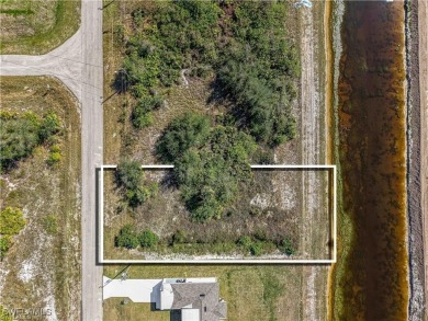 Build Your Dream Home! Discover the perfect opportunity to build on Mirror Lakes Golf Club in Florida - for sale on GolfHomes.com, golf home, golf lot