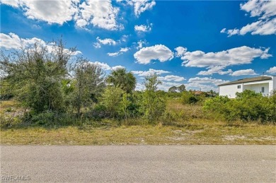 Build Your Dream Home! Discover the perfect opportunity to build on Mirror Lakes Golf Club in Florida - for sale on GolfHomes.com, golf home, golf lot