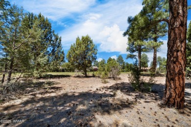 ''Stunning Home on the Fairway in The Retreat at Bison Golf on Bison Golf and Country Club in Arizona - for sale on GolfHomes.com, golf home, golf lot