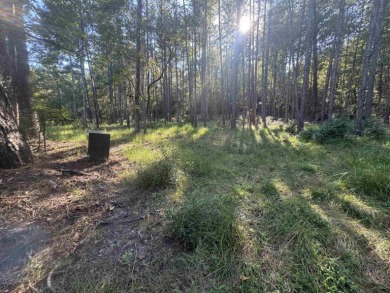 Premier  1/2  Acre Lot in Rayburn Country! Embrace the lifestyle on Rayburn Country Club in Texas - for sale on GolfHomes.com, golf home, golf lot