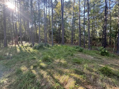 Premier  1/2  Acre Lot in Rayburn Country! Embrace the lifestyle on Rayburn Country Club in Texas - for sale on GolfHomes.com, golf home, golf lot