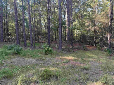 Premier  1/2  Acre Lot in Rayburn Country! Embrace the lifestyle on Rayburn Country Club in Texas - for sale on GolfHomes.com, golf home, golf lot