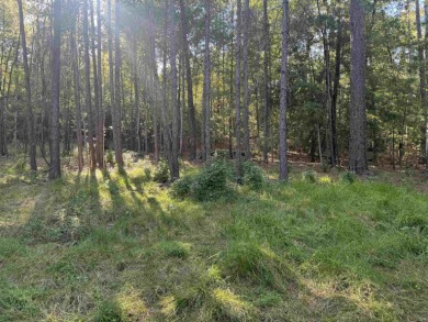 Premier  1/2  Acre Lot in Rayburn Country! Embrace the lifestyle on Rayburn Country Club in Texas - for sale on GolfHomes.com, golf home, golf lot