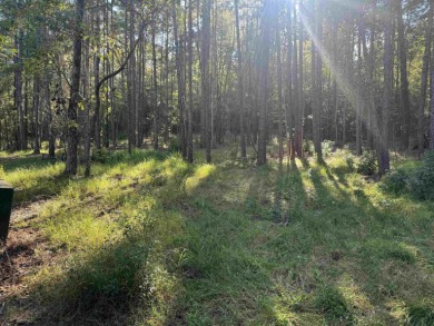 Premier  1/2  Acre Lot in Rayburn Country! Embrace the lifestyle on Rayburn Country Club in Texas - for sale on GolfHomes.com, golf home, golf lot
