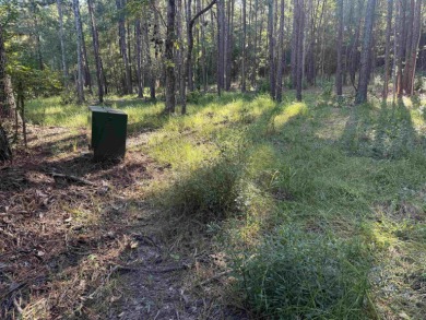 Premier  1/2  Acre Lot in Rayburn Country! Embrace the lifestyle on Rayburn Country Club in Texas - for sale on GolfHomes.com, golf home, golf lot