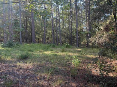 Premier  1/2  Acre Lot in Rayburn Country! Embrace the lifestyle on Rayburn Country Club in Texas - for sale on GolfHomes.com, golf home, golf lot