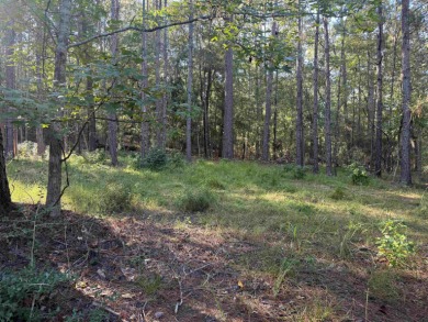 Premier  1/2  Acre Lot in Rayburn Country! Embrace the lifestyle on Rayburn Country Club in Texas - for sale on GolfHomes.com, golf home, golf lot