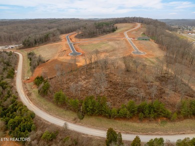 Welcome to 5720 Old Dogwood Trail, located within Tennessee on Tennessee National Golf Club in Tennessee - for sale on GolfHomes.com, golf home, golf lot