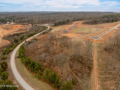 Welcome to 5720 Old Dogwood Trail, located within Tennessee on Tennessee National Golf Club in Tennessee - for sale on GolfHomes.com, golf home, golf lot