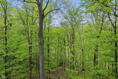Charming 1-Bedroom Loft Condo with Scenic Views and Customizable on The Eagle Pointe Golf Resort in Indiana - for sale on GolfHomes.com, golf home, golf lot