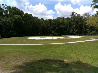 If you're searching for a beautiful, move-in ready home with on Hamptons Golf Club in Florida - for sale on GolfHomes.com, golf home, golf lot